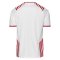 2022 Denmark Limited Edition Soccer Jersey