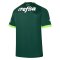 23-24 Palmeiras Home Authentic Jersey (Player Version)